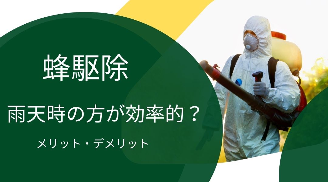 蜂駆除は雨天時の方が効率的？メリットやデメリットについて解説