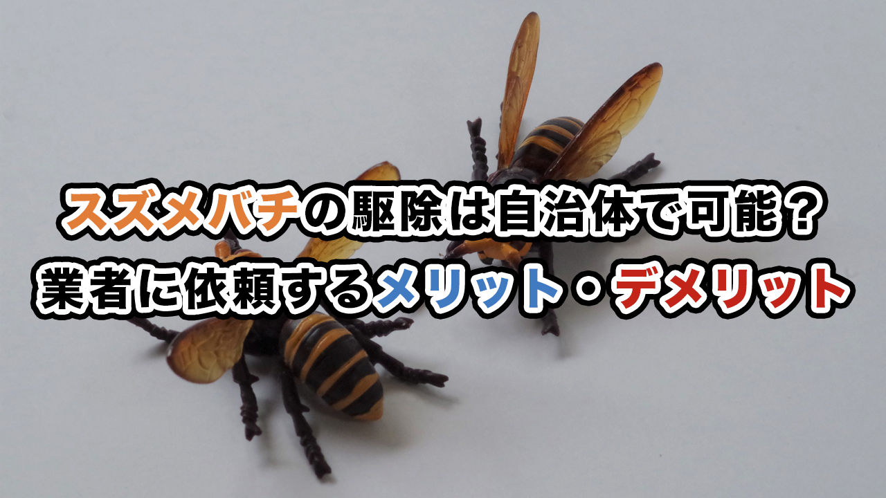 スズメバチの駆除は自治体で可能？業者に依頼するメリット・デメリット