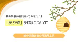 蜂の巣撤去後に知っておきたい！「戻り蜂」対策について